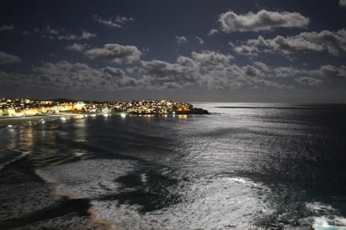 Studio Bondi Beach Sydney Exterior foto